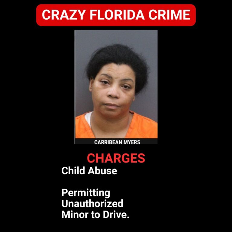 Florida Woman Arrested After Letting Underage, Autistic Child Drive to Gas Station