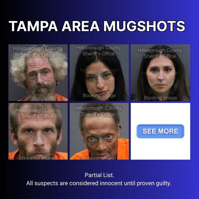 Recent Tampa Area Arrests